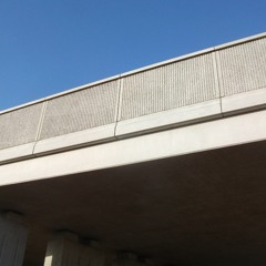 Ramsay's Rhino Ket Adventures