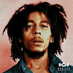 Burning and looting - Bob Marley (Luke Greally dubstep remix)