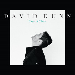 Broken Cathedrals - David Dunn