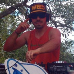 Bartdelic SET evolution