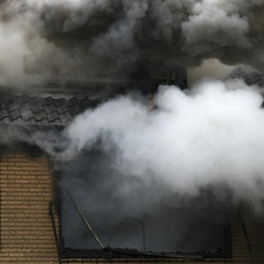 Smoke Session FT/Red Rose