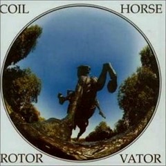 Coil - Slur