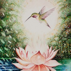 15.Médico Das Flores