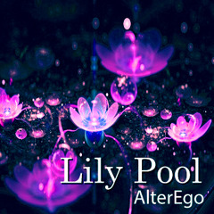 Lily Pool