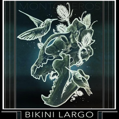 Bikini Largo