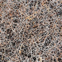 a guide for imagination