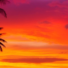 IBIZA FEELINGS  live mix from CLEAR BEATS free download