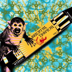 Oriental Tropical @ Fusion Festival 2015/Weidendom vol.1