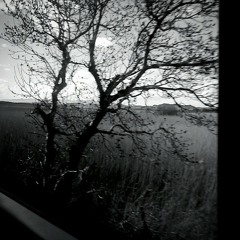 Closed His Mouth. Then Pressed A Kiss.