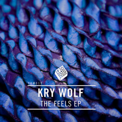 Kry Wolf 'Cosmic Vibes'
