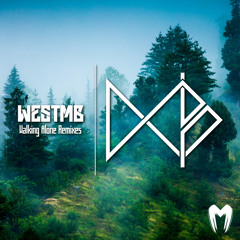 WestMB - Walking Alone feat. Cobane (Subsurface Remix)