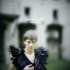 Birdaway Remix (feat. Wolfgang Schlögl)