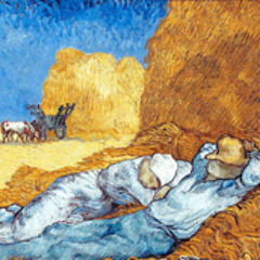 La Sieste Du Vieux Monsieur