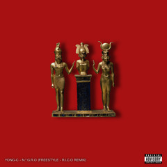 N.*.G.R.O (Freestyle R.I.C.O Remix + Lyrics)