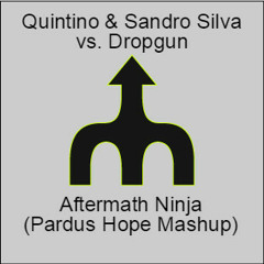 Quintino & Sandro Silva vs. Dropgun - Aftermath Ninja (Pardus Hope Mashup)