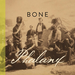 BML Bone Phalanx
