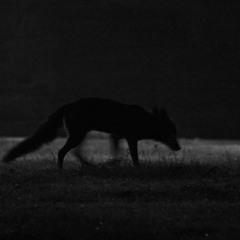 Essential Listening July (Part 1)