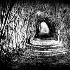 Black Winter - new arrangement demo