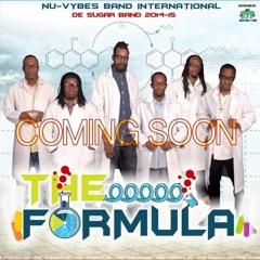 Nu Vybes Band (Sugar Band) - Dancing