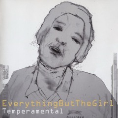Temperamental - Everything But The Girl (Future Now Mix)