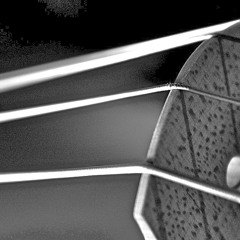 Strings (Trumpet, Trombone, Percussion)
