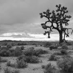 Where Dead Horses Run