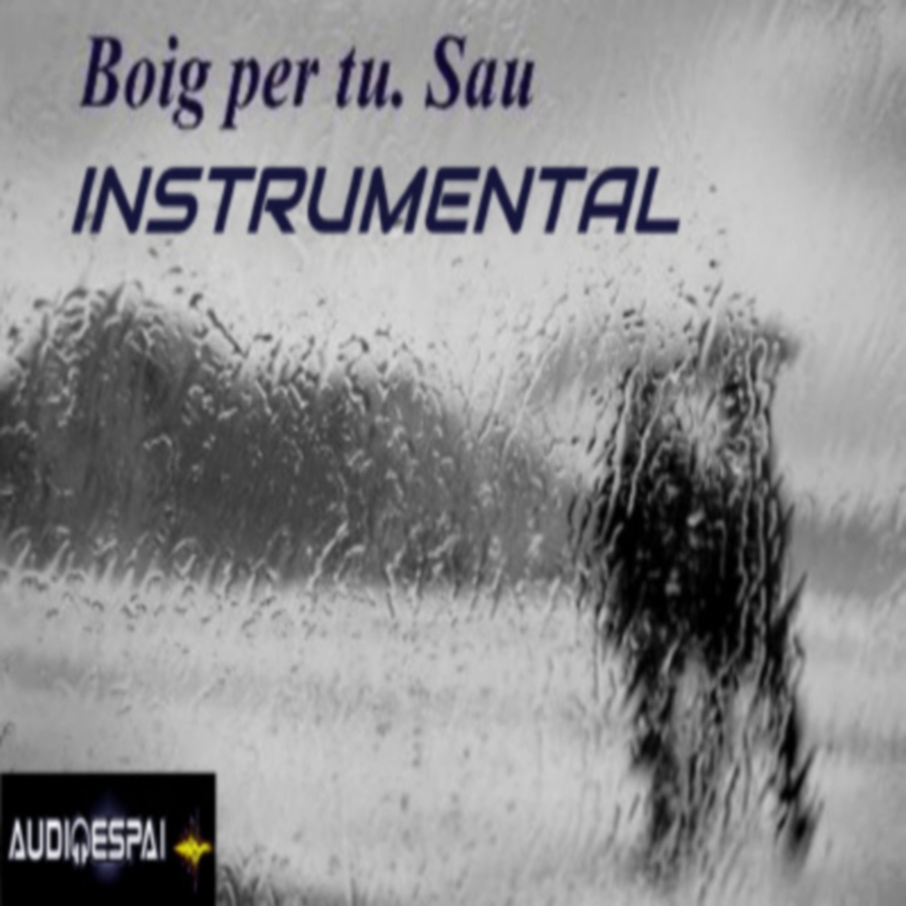 AUDIOESPAI