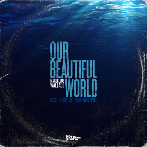 Essay about the world today picture