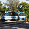 117. Sustainability snapshots: How cities from Estonia to Ottawa are getting greener