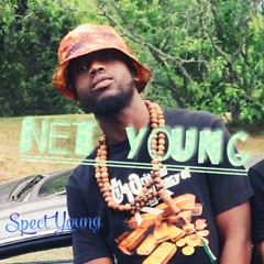 Spect Young - Net Young