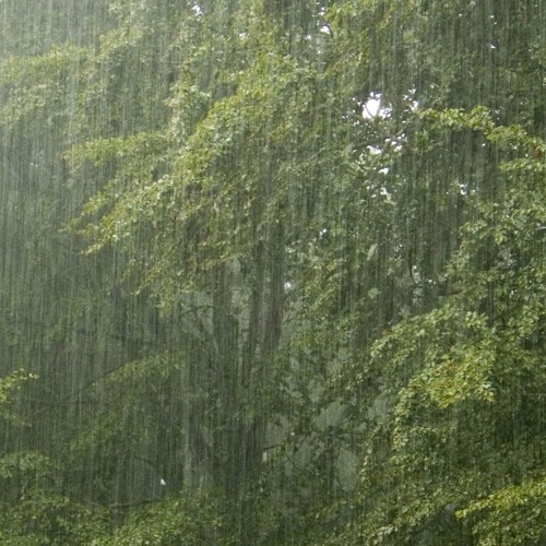Downpour