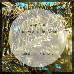 Joseph Arthur - Honey and the Moon (Wollsson Remix)