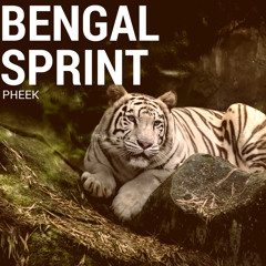 Pheek - Bengal Sprint (Sample)