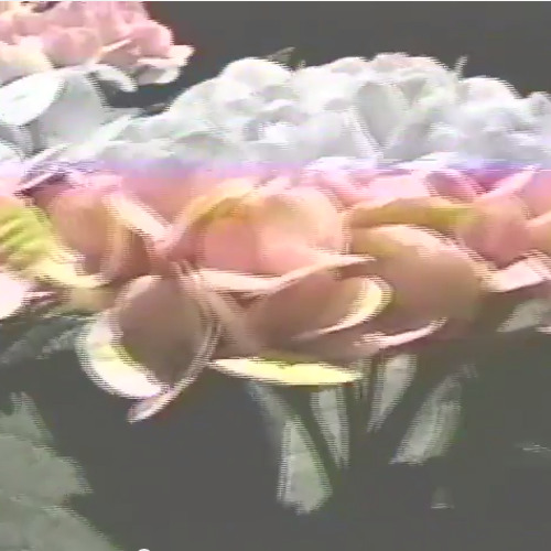 // splendor  [visuals : https://youtu.be/6htoaR61fU]