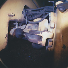 The Password Is Bacteria