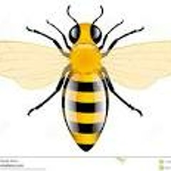 Honey Bee