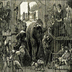 Zoo (Prod. greenHERMIT)