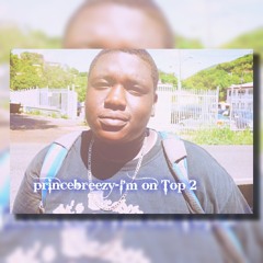 princebreezy-I'm on Top 2