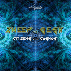 Zweep vs deSh - Technologies of Consciousness