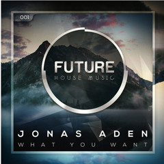 Jonas Aden-What You Want (Original Mix)