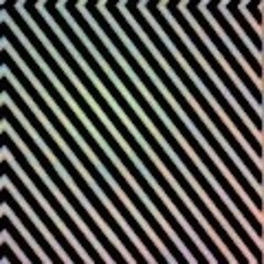 Synthesized Environment [disquiet0185-memorymusic]