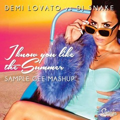Demi Lovato X DJ Snake - You Know You Like The Summer (Sample Gee Mashup)