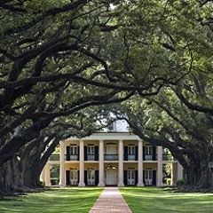 Michael Pauley American Southern Dialect Sample