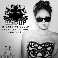 Panda Eyes, Thomas Vent & Castor Troy - If Only We Could See Fu_In Colour (DJ SETUP Mashup)