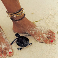 Footprints