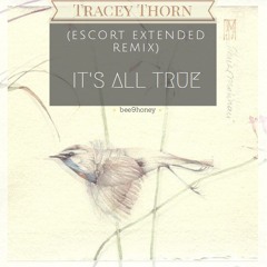 21. Tracey Thorn - It's All True (Escort Extended Remix)