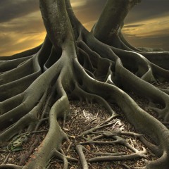 Lunar Release #7 // Rhoneil // Come Home