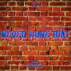The Scarlet Project - Never Done That