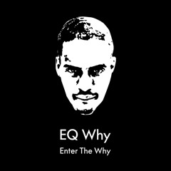Enter The Why Vol.1