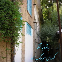 با تو دنیا قشنگه؛ کوروس سرهنگ زاده